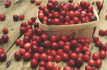 Cranberry